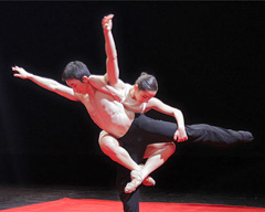 Nederland Dans Theater II: Subject to Change, kor. Sol León i Paul Lightfoot