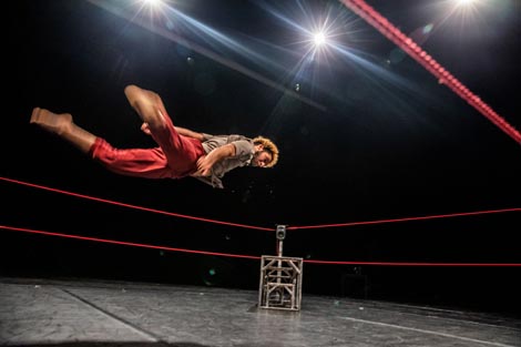 Bestiaire, foto: Géraldine Aresteanu