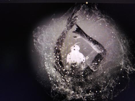 Plesni kolektiv d_lc, Zagreb: Lada, kor. Maja Drobac