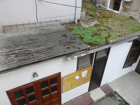 Petar Popijač, Ples mahovine, 2013., foto: Tonka Maleković