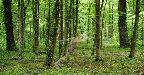 Novi horizonti</em>, autorica Martina Nevistić Vukobrat, foto: Luka Matić