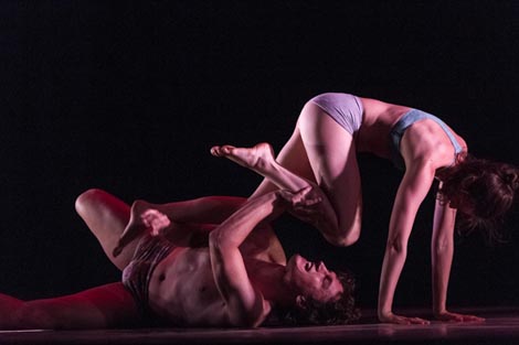 Rete Anticorpi XL, Amsterdamse Hogeschool voor de Kunsten, Dansateliers of Rotterdam, Versiliadanza i Stichting Gillen: O O O O O O O O, autor: Giulio D Anna