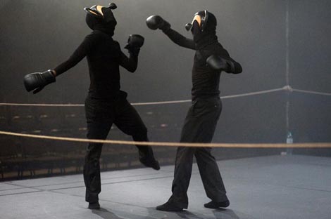 ICKamsterdam, Rocco, kor. i red. Emio Grecco i Pieter C. Scholten, foto: Laurent Ziegler & Gerco de Vroeg